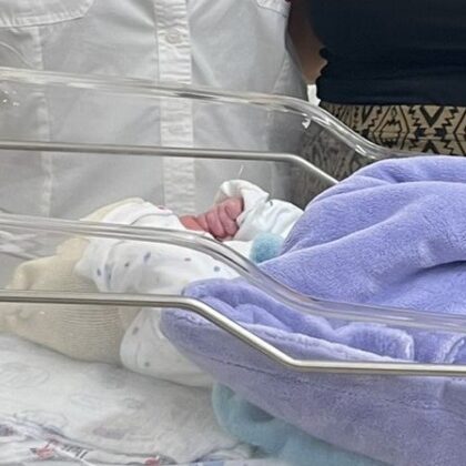 New life emerges amid echoes of explosions.